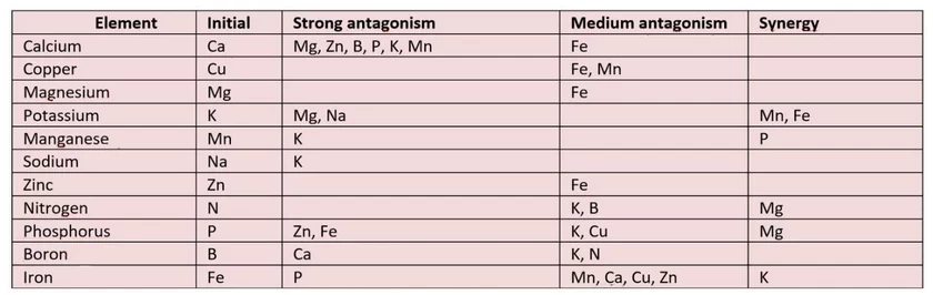 interaction between the different elements present in a crop soil