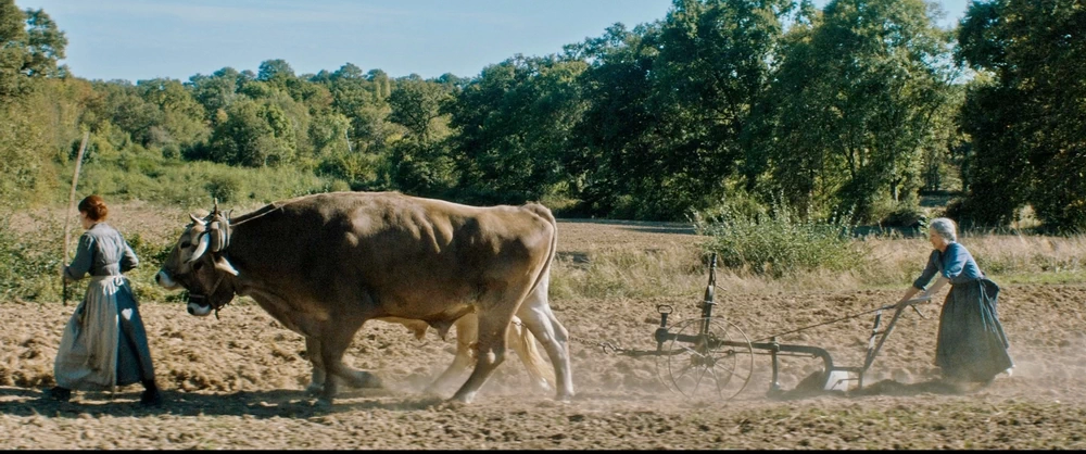 photo ; The guardians of the earth