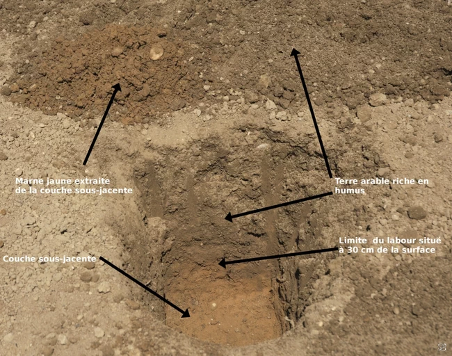 Cross-section of arable land showing a plough sole