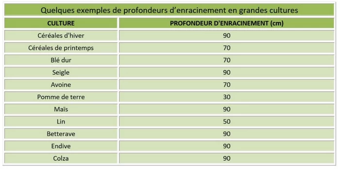 profondeur d'enracinement en grandes cultures